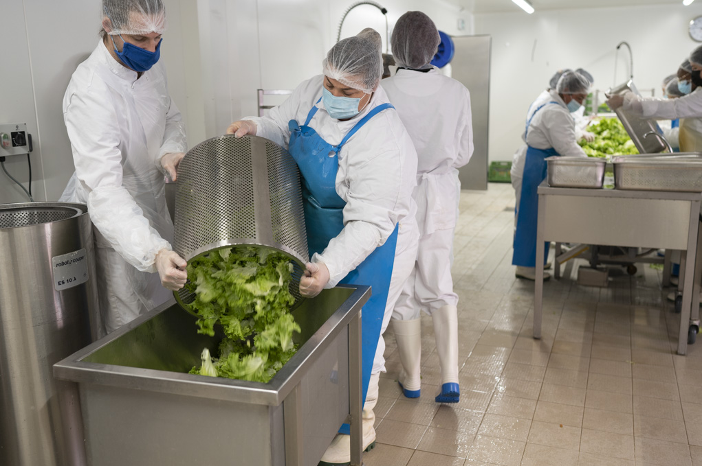 Ameli Provence remobilise des personnes éloignées de l’emploi avec des parcours de qualification vers des métiers ou secteurs en tension.