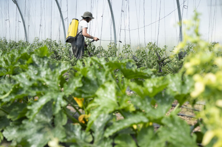 Au pays de Lorient dans le Morbihan, l’association Optim’ism s’engage pour le renouvellement des générations en agriculture.